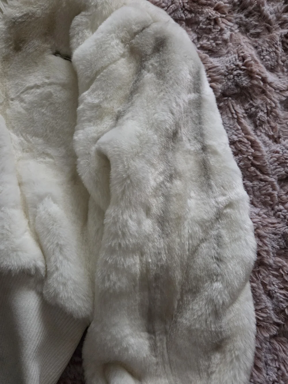 bebe Cream Faux-Fur Hooded Zip Teddy Jacket - Picture 10 of 12